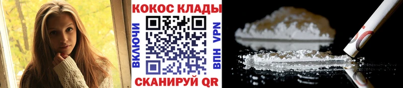 купить наркотики цена  Бирюсинск  Cocaine Fish Scale 