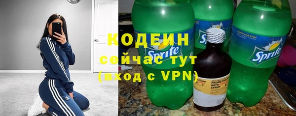 шишки Пересвет