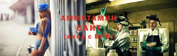 индика Пестово