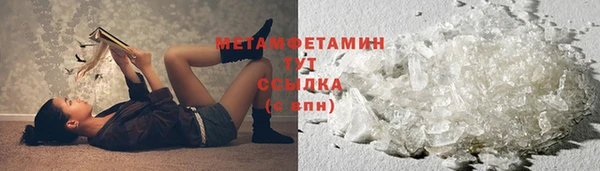 индика Пестово