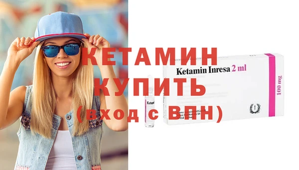 шишки Пересвет