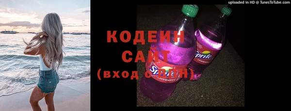 индика Пестово