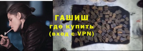 индика Пестово