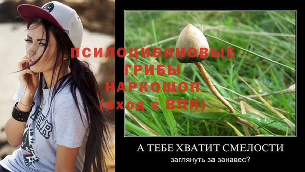 стафф Абинск