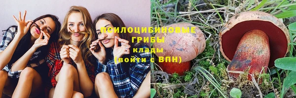 стафф Абинск