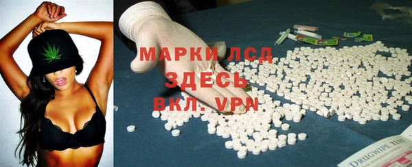 шишки Пересвет