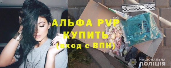 индика Пестово