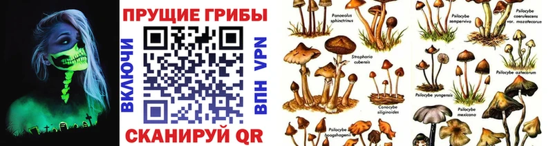 Галлюциногенные грибы GOLDEN TEACHER Бирюсинск